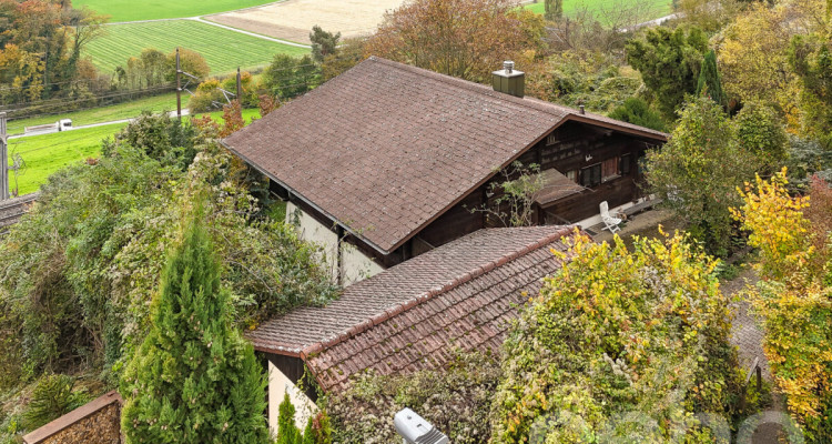 Attraktives Baugrundstück an sonniger Lage image 10