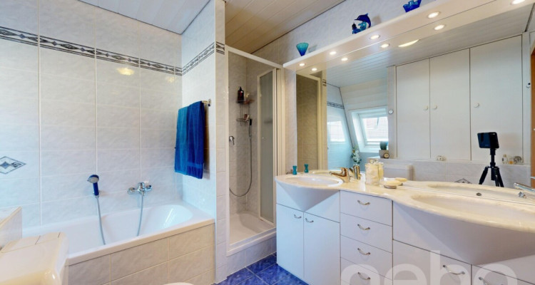 Lumineux duplex à deux pas du centre de Morges image 12