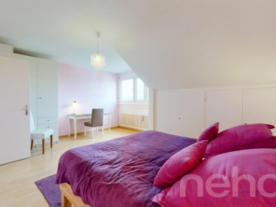 Attique 2.5 pièces à Perly : calme, verdure et luminosité image 8