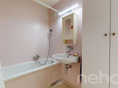 Attique 2.5 pièces à Perly : calme, verdure et luminosité image 11