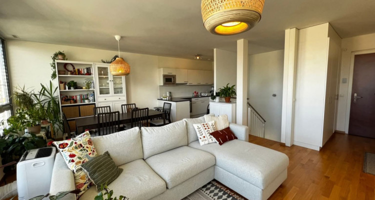 Superbe duplex de 4,5 pièces, Centre de Genève image 6