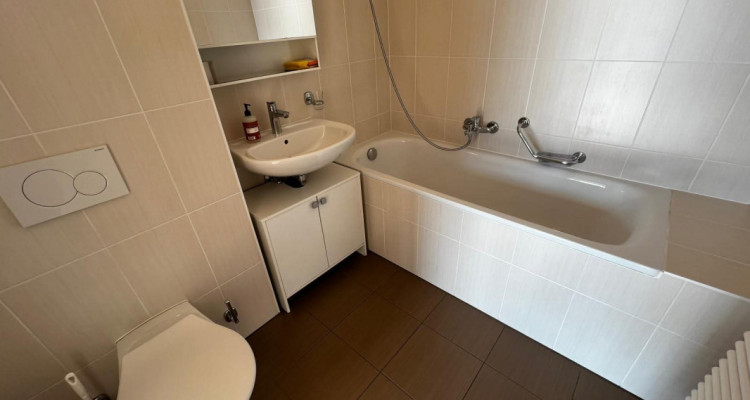 Superbe duplex de 4,5 pièces, Centre de Genève image 5