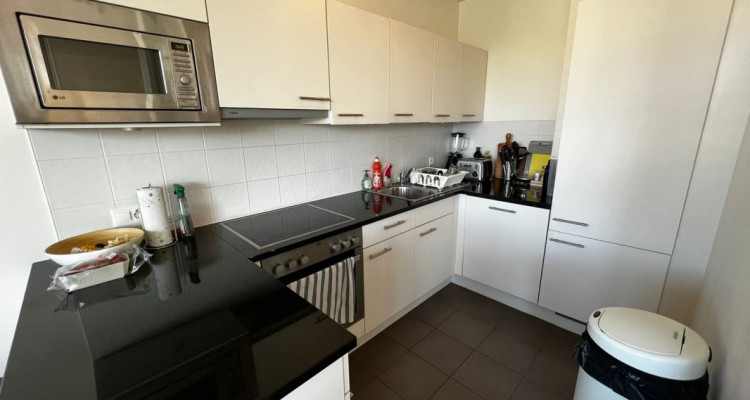 Superbe duplex de 4,5 pièces, Centre de Genève image 4