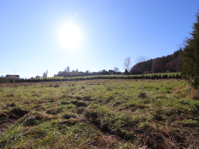 Villa individuelle de 3.5 pièces avec terrain de 3405 m2 en zone intermédiaire image 2