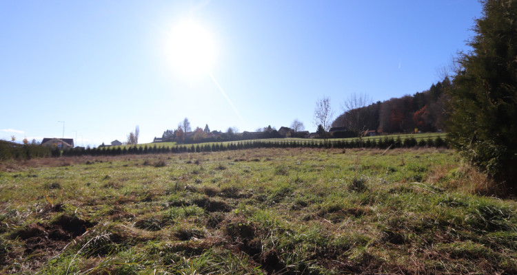 Villa individuelle de 3.5 pièces avec terrain de 3405 m2 en zone intermédiaire image 2