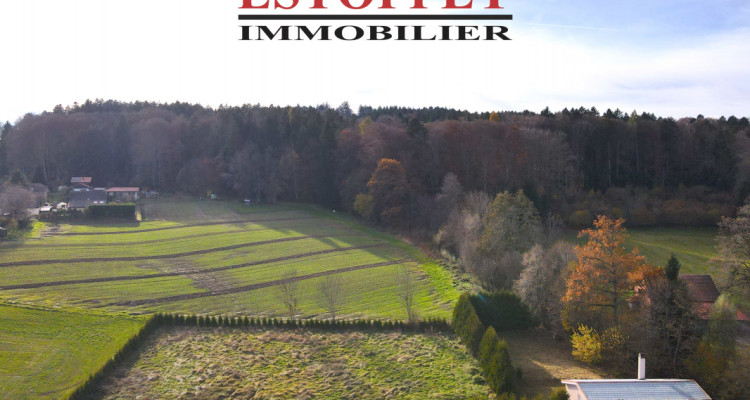 Villa individuelle de 3.5 pièces avec terrain de 3405 m2 en zone intermédiaire image 1