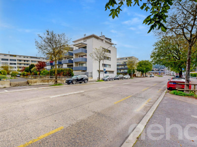 Magnifique appartement à Yverdon image 2