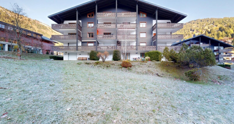 Pied-à-terre idéal face aux montagnes, accès direct aux pistes image 3