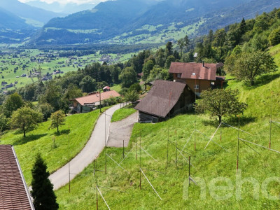 Wohnen im Grünen mit Bergpanorama image 9