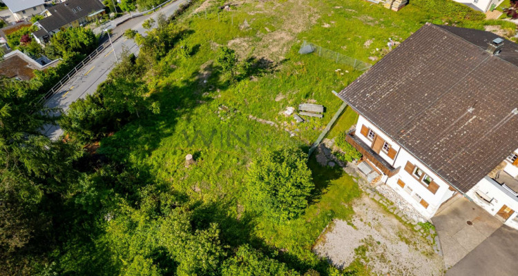 NEUBAU: Sonnenschein-Living - A image 12