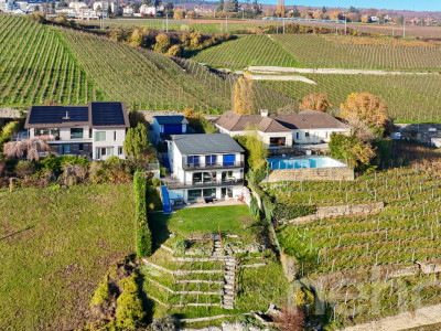 Cadre exceptionnel : votre futur chez-vous avec vue sur le lac ! image 1