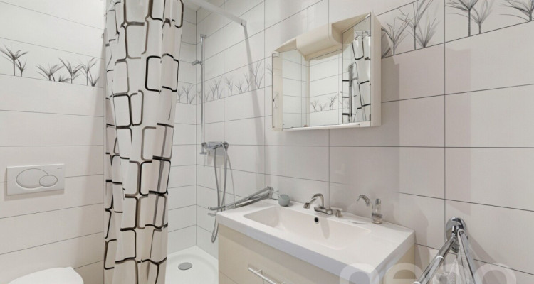 Cadre exceptionnel : votre futur chez-vous avec vue sur le lac ! image 8