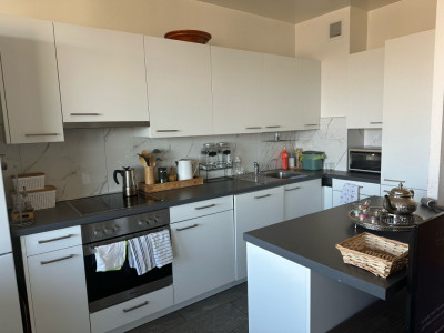 Appartement de 8.5 pièces situé au Petit-Lancy image 3