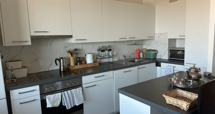 Appartement de 8.5 pièces situé au Petit-Lancy image 3