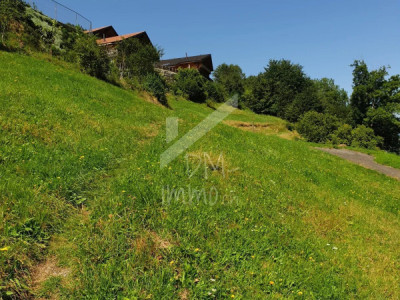 Terrains à bâtir entièrement équipés - de 660 m2 à 1 059 m2 image 1