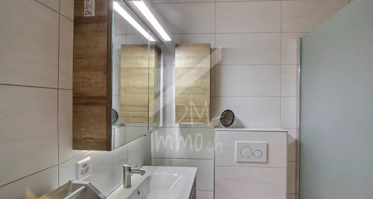 Appartement 2,5 P rénové, grande terrasse sud et véranda image 8