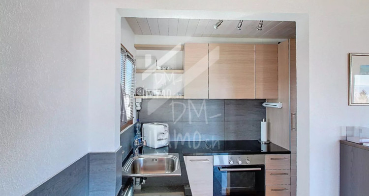 Magnifique chalet rénové avec studio - Vente aux étrangers possible image 4