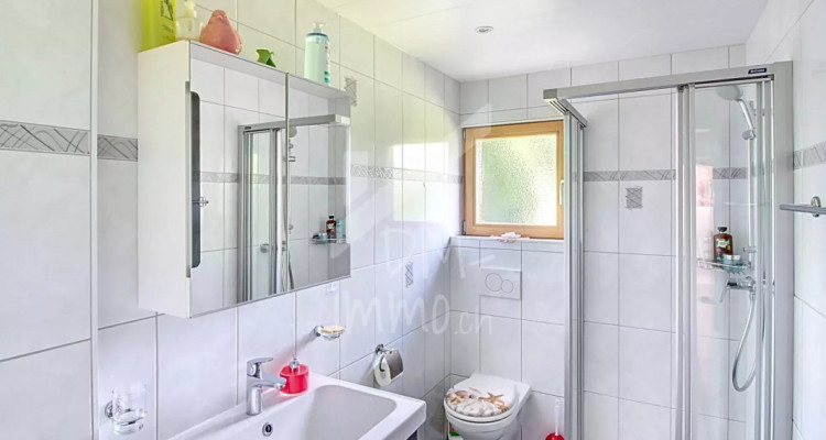 Chalet en madrier, vue exceptionnelle et imprenable image 9