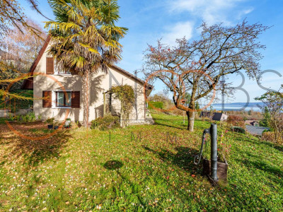 MAISON FAMILIALE DE 4.5 PIECES image 3