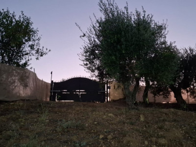 VILLA NEUVE AVEC VUE PANORAMIQUE SUR LES COLLINES ET LES PLANTATIONS DOLIVIERS image 10