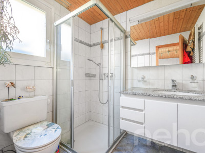 Charmantes Chalet mit unvergleichlicher Aussicht in Ruschein GR image 12