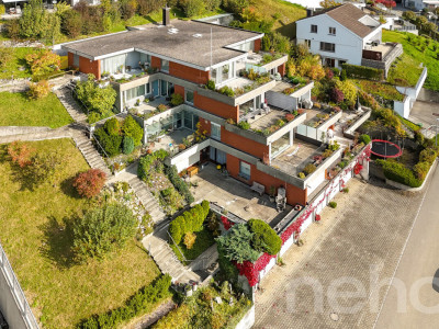 Helle, grosszügige Terrassenwohnung mit Alpensicht image 1