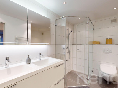 Helle, grosszügige Terrassenwohnung mit Alpensicht image 8