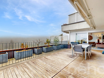 Helle, grosszügige Terrassenwohnung mit Alpensicht image 10