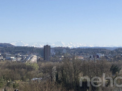 Helle, grosszügige Terrassenwohnung mit Alpensicht image 12