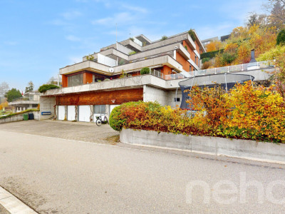 Helle, grosszügige Terrassenwohnung mit Alpensicht image 12