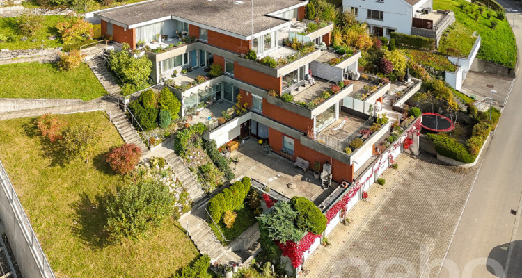 Helle, grosszügige Terrassenwohnung mit Alpensicht image 1