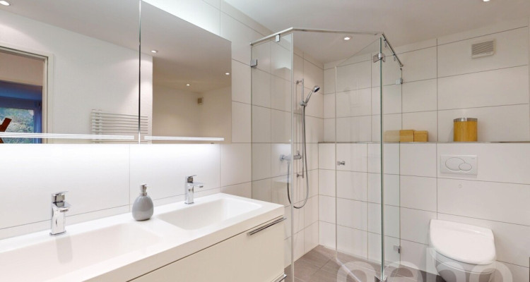 Helle, grosszügige Terrassenwohnung mit Alpensicht image 8