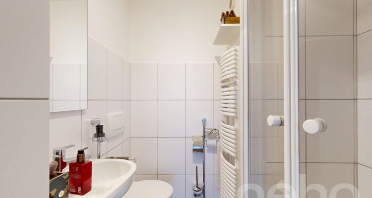 Helle, grosszügige Terrassenwohnung mit Alpensicht image 9