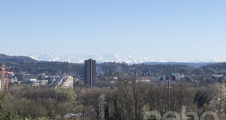 Helle, grosszügige Terrassenwohnung mit Alpensicht image 12
