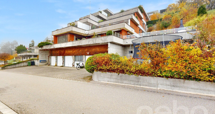 Helle, grosszügige Terrassenwohnung mit Alpensicht image 12