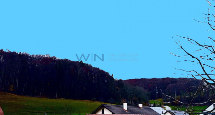 Neubau Perfektion hat eine Adresse ? IHRE! image 3