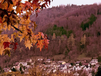 Ein Zuhause, das Ruhe atmet image 1