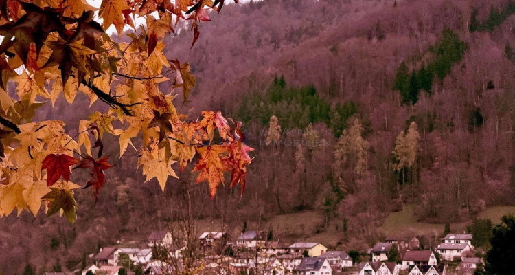 Ein Zuhause, das Ruhe atmet image 1