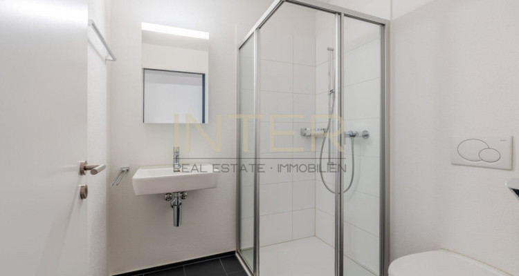 Pilatusblick inklusive - stilvolle Eigentumswohnung in ruhiger Lage image 10