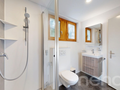 Doppelhaushälfte mit Aussicht und naturnaher Lage in Filisur GR image 12