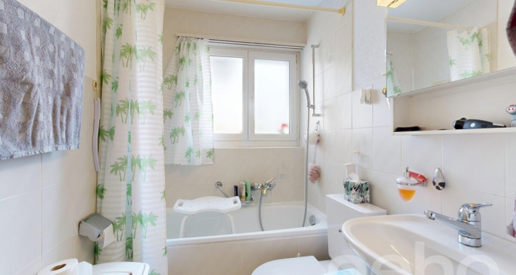 Familiendomiziel mit Dachgeschosswohnung, Werkstatt und Schopf image 9