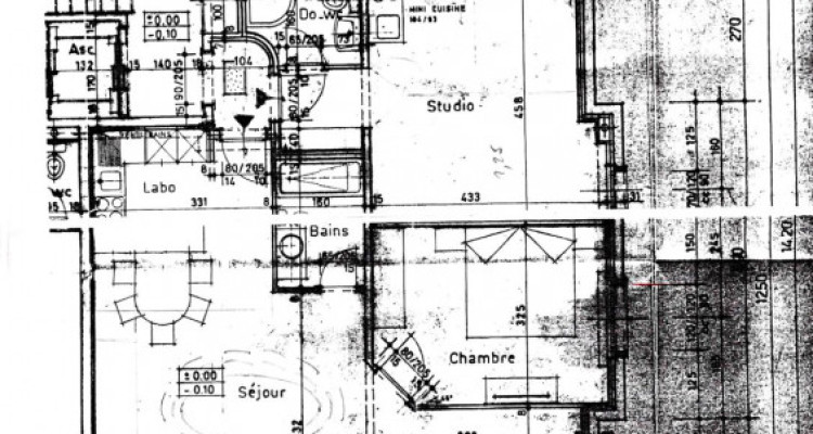 Appartement en Viager occupé sans rente limité à 15 ans image 12