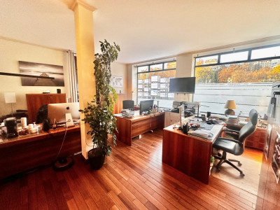 Locaux commerciaux au bord du Rhône image 2