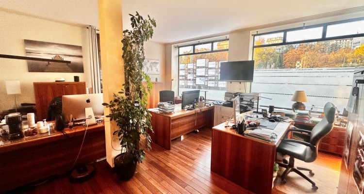 Locaux commerciaux au bord du Rhône image 2