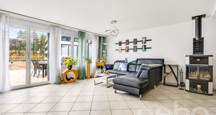 4.5-Zimmer-Reihenhaus mit grosszügiger Terrasse in Wollerau image 3