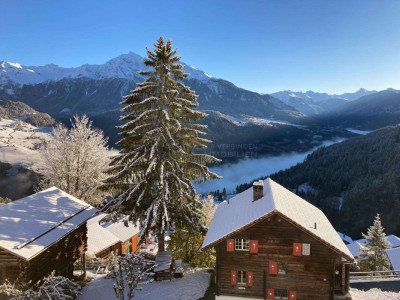 Panoramawohnen mit Privatsphäre image 2