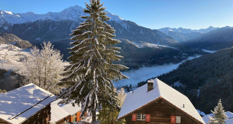 Panoramawohnen mit Privatsphäre image 2