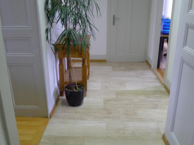 Appartement lumineux en centre-ville image 5