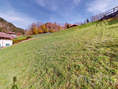 Terrain à bâtir au Sépey image 10