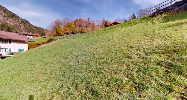 Terrain à bâtir au Sépey image 10